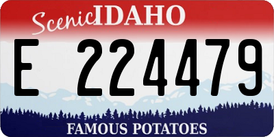 ID license plate E224479