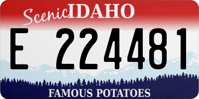 ID license plate E224481