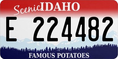 ID license plate E224482