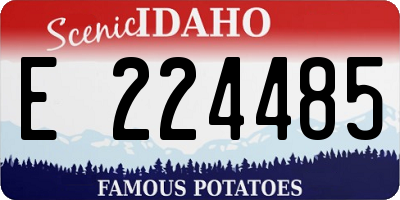 ID license plate E224485