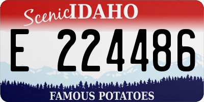 ID license plate E224486