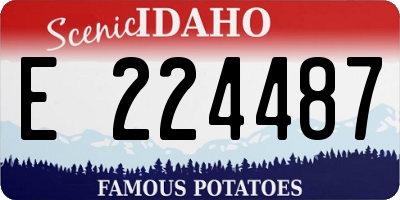 ID license plate E224487