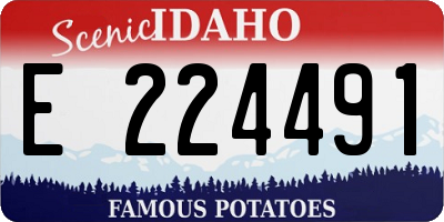 ID license plate E224491