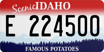 ID license plate E224500