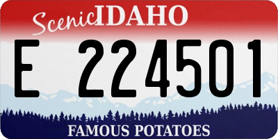ID license plate E224501