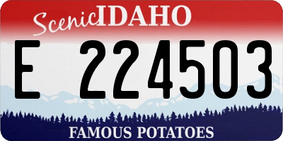 ID license plate E224503