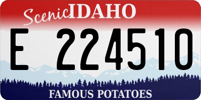 ID license plate E224510