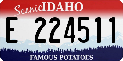 ID license plate E224511