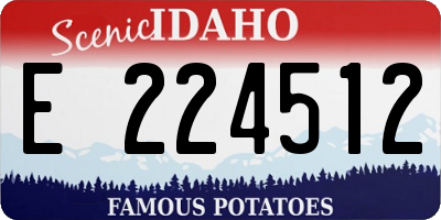 ID license plate E224512