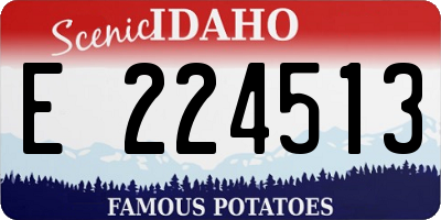 ID license plate E224513