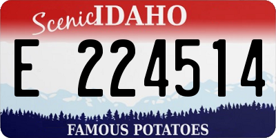ID license plate E224514