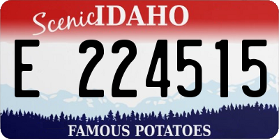 ID license plate E224515
