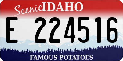 ID license plate E224516