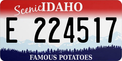ID license plate E224517