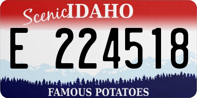 ID license plate E224518