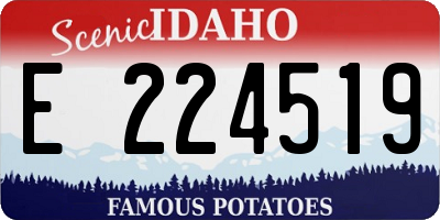 ID license plate E224519