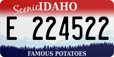 ID license plate E224522