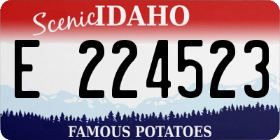 ID license plate E224523