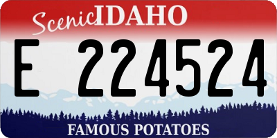 ID license plate E224524