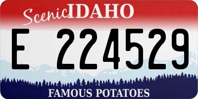 ID license plate E224529