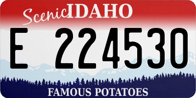 ID license plate E224530