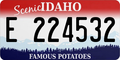 ID license plate E224532