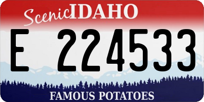 ID license plate E224533