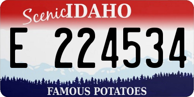 ID license plate E224534