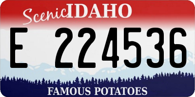 ID license plate E224536