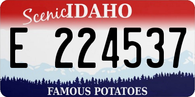 ID license plate E224537