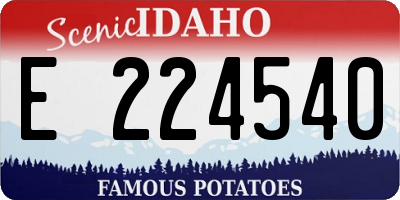 ID license plate E224540