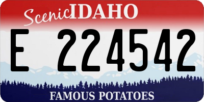 ID license plate E224542