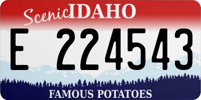 ID license plate E224543