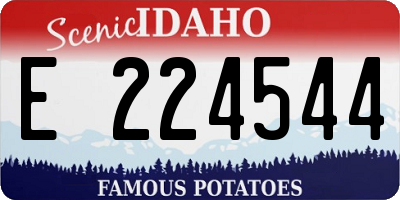 ID license plate E224544