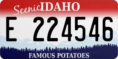 ID license plate E224546