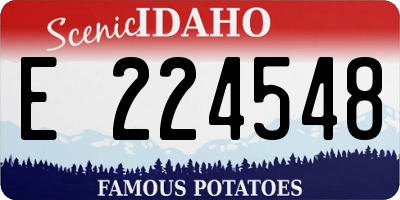 ID license plate E224548