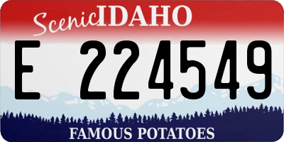 ID license plate E224549