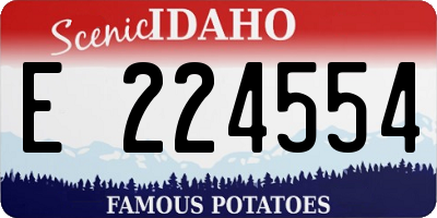 ID license plate E224554