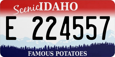 ID license plate E224557
