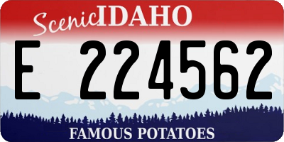 ID license plate E224562