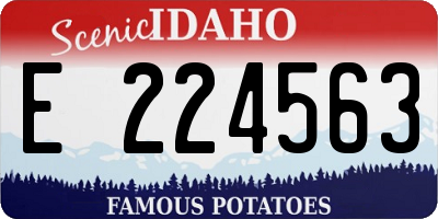 ID license plate E224563