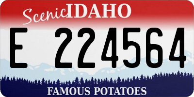 ID license plate E224564