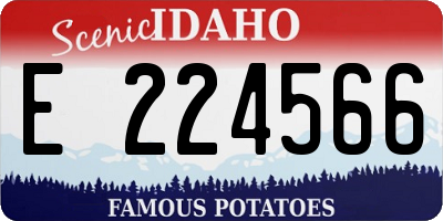 ID license plate E224566