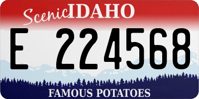 ID license plate E224568
