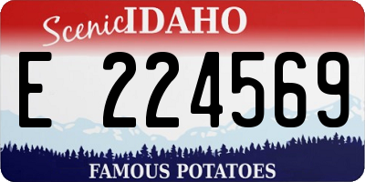 ID license plate E224569