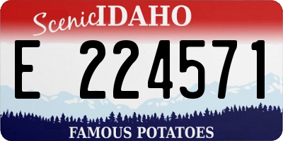 ID license plate E224571