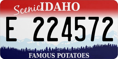 ID license plate E224572
