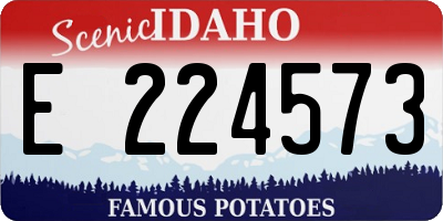 ID license plate E224573