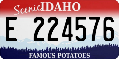 ID license plate E224576