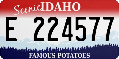 ID license plate E224577